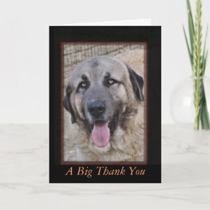 A Big Thank You-customise You Card