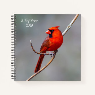 A Big Year Birding Cardinal Spiral Notebook