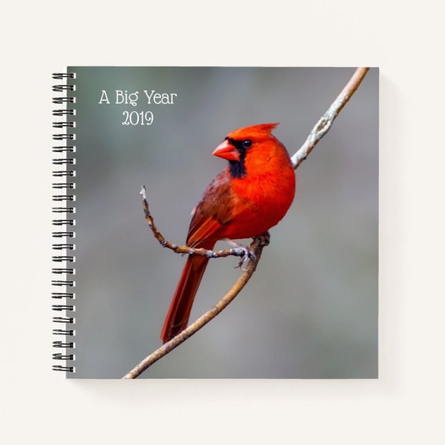 A Big Year Birding Cardinal Spiral Notebook (Front)