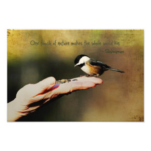 A Bird in the Hand Photo Print