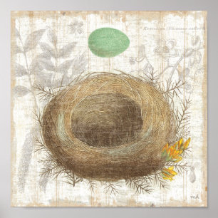 A Bird's Nest with a Green Egg Poster