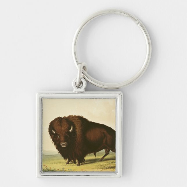 A Bison, c.1832 Key Ring (Front)