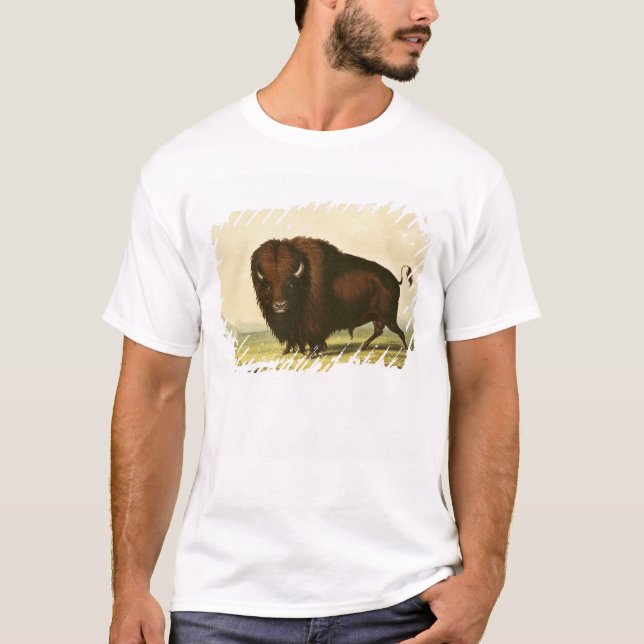 A Bison, c.1832 T-Shirt (Front)