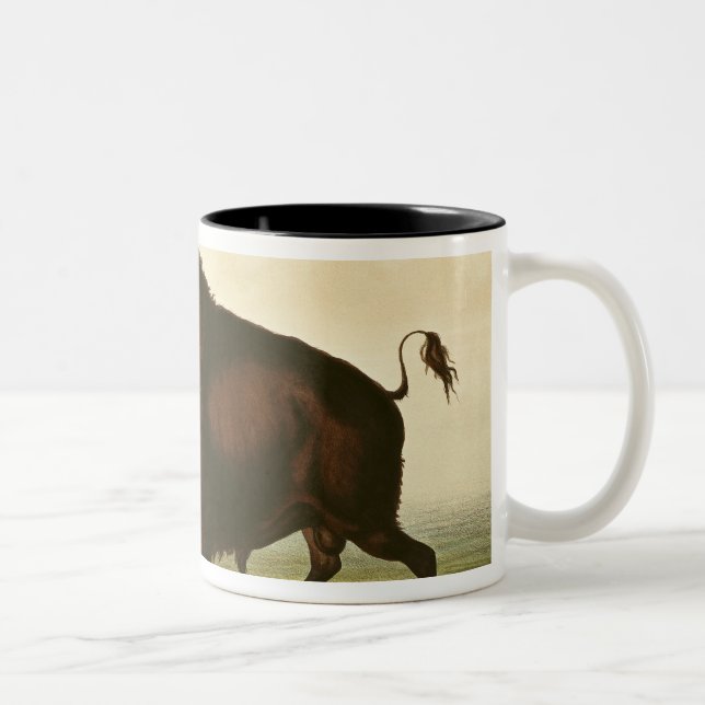 A Bison, c.1832 Two-Tone Coffee Mug (Right)