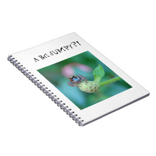 A Bit Jumpy?! Notebook