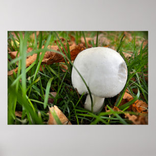 A bitten mushroom poster