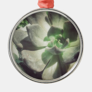 A Black and Green Hen and Chicks Plant Metal Ornament