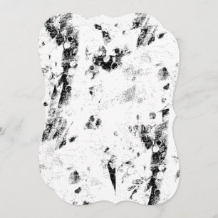 a black and white photo of a black and white photo