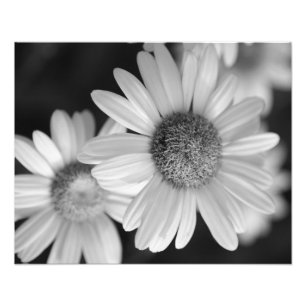 A black and white photo of a flower