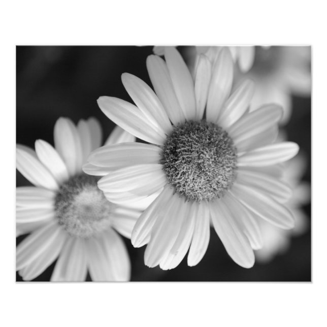 A black and white photo of a flower (Front)
