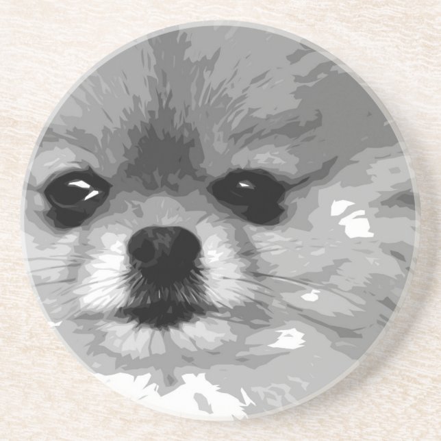 A black and white Pomeranian Coaster (Front)