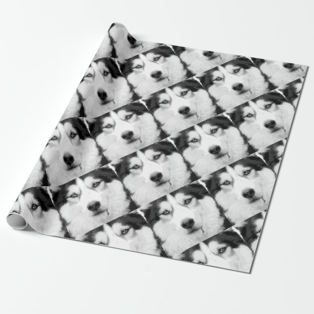 A black and white Siberian husky Wrapping Paper (Unrolled)