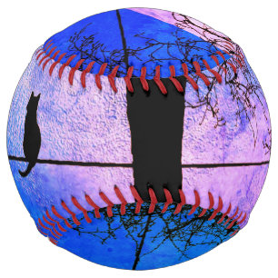 A Black Cat on a Wire Full Moon Softball