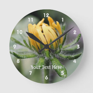 A Black Eyed Susan Flower Unfolding Round Clock