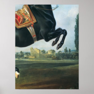 A black horse performing the Courbette Poster