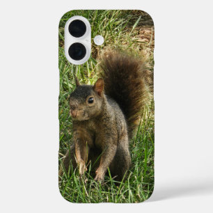 A black squirrel iPhone 16 case