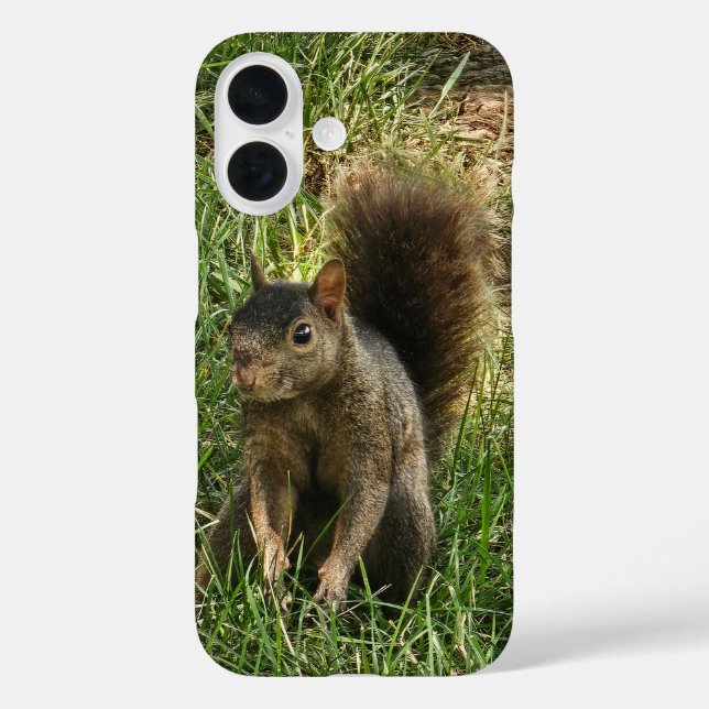 A black squirrel Case-Mate iPhone case (Back)