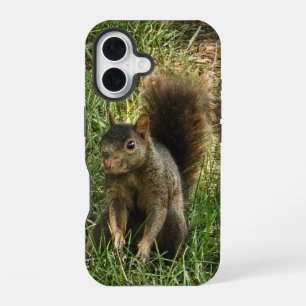 A black squirrel iPhone 16 case