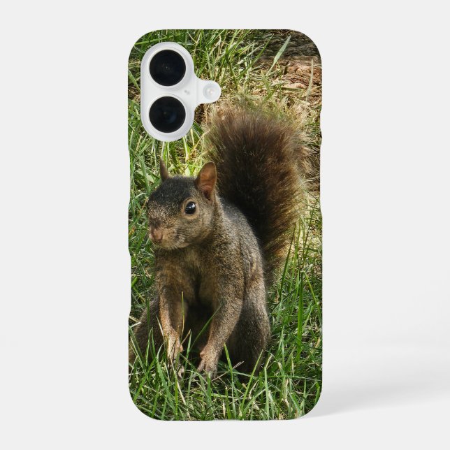 A black squirrel iPhone 16 case (Back)