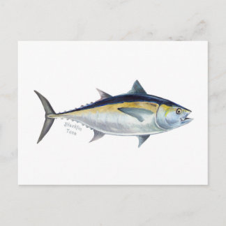 A Blackfin Tuna postcard. Postcard