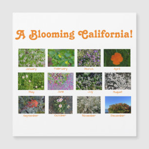 A Blooming California