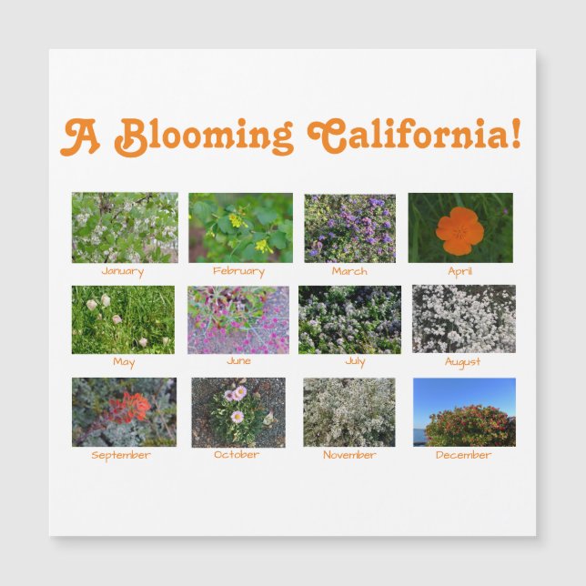 A Blooming California (Front)