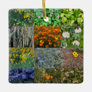 A Blooming California: 2021 Colour Celebration Cer Ceramic Ornament