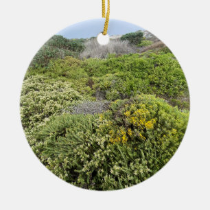 A Blooming California: Asilomar Dunes Ceramic Orna Ornament