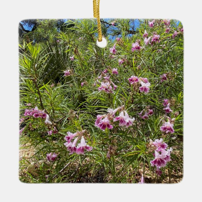 A Blooming California: Desert Willow Ceramic Ornament (Front)
