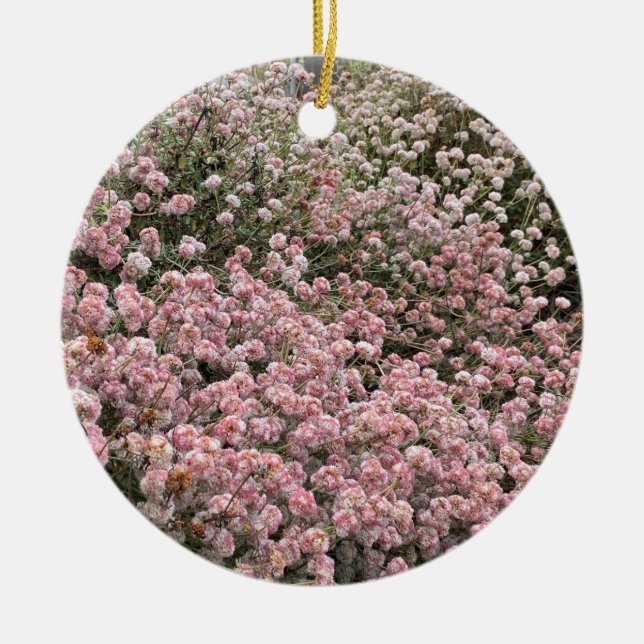 A Blooming California: Sea Cliff Buckwheat Ceramic Ornament (Front)