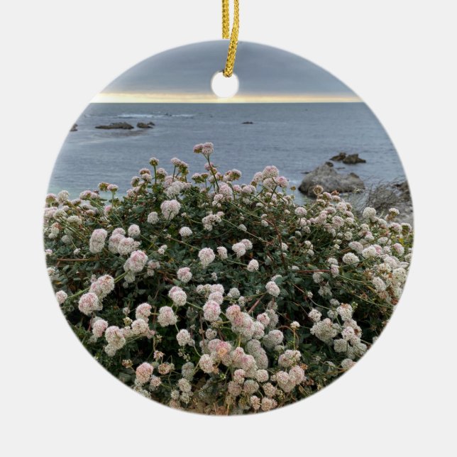 A Blooming California: Sea Cliff Buckwheat Ceramic Ornament (Front)