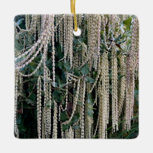 A Blooming California: Silktassels Ceramic Ornament