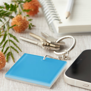 a blue background with a black and white cat key ring