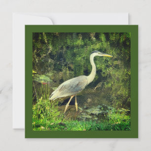 A blue heron