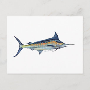 A Blue Marlin fish postcard