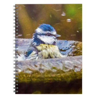 A Blue Tit in the Birdbath Notebook