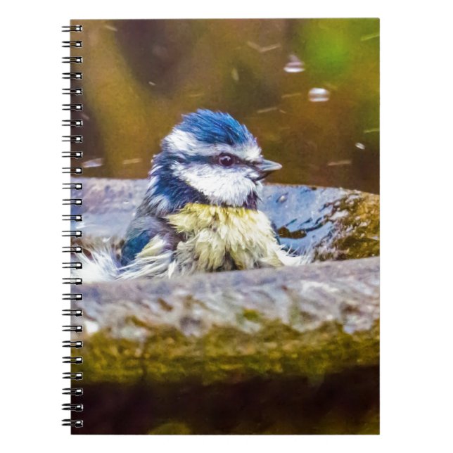 A Blue Tit in the Birdbath Notebook (Front)