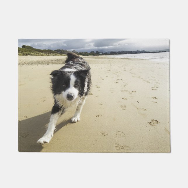 A Border Collie Dog Running On The Beach Doormat (Front)