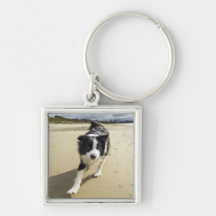 A Border Collie Dog Running On The Beach Key Ring