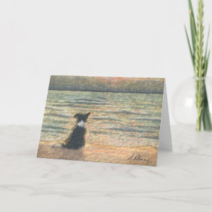 A Border Collie dog says hello to the morning Card