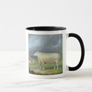 A Border Leicester Ewe (oil on canvas) Mug