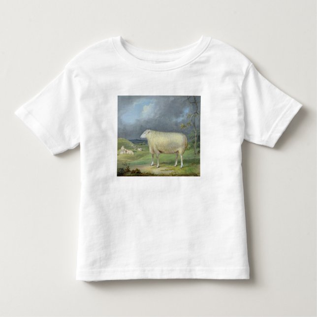 A Border Leicester Ewe (oil on canvas) Toddler T-Shirt (Front)