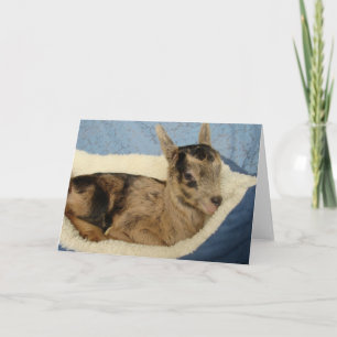 A Bottle Goat Named Aussie Card