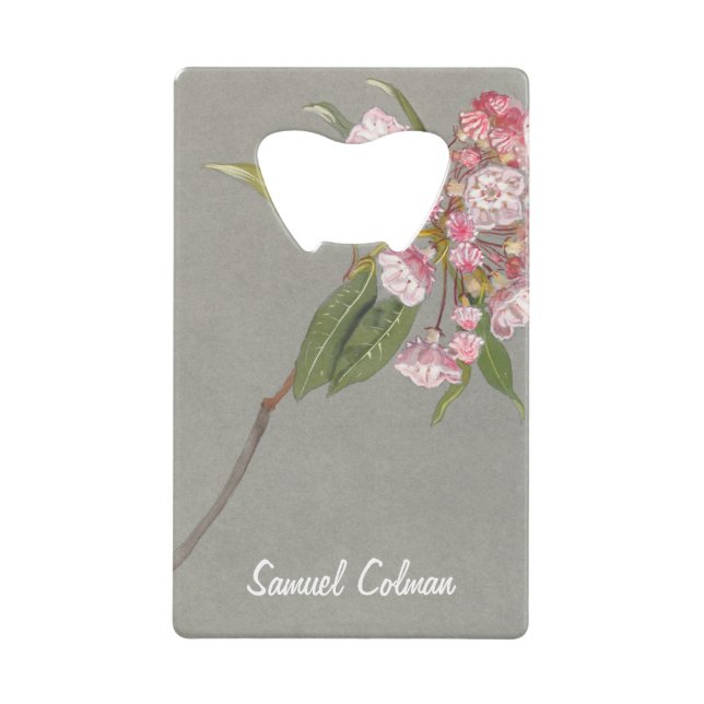 A Bough of Mountain Laurel with Leaves and Blossom (Front)