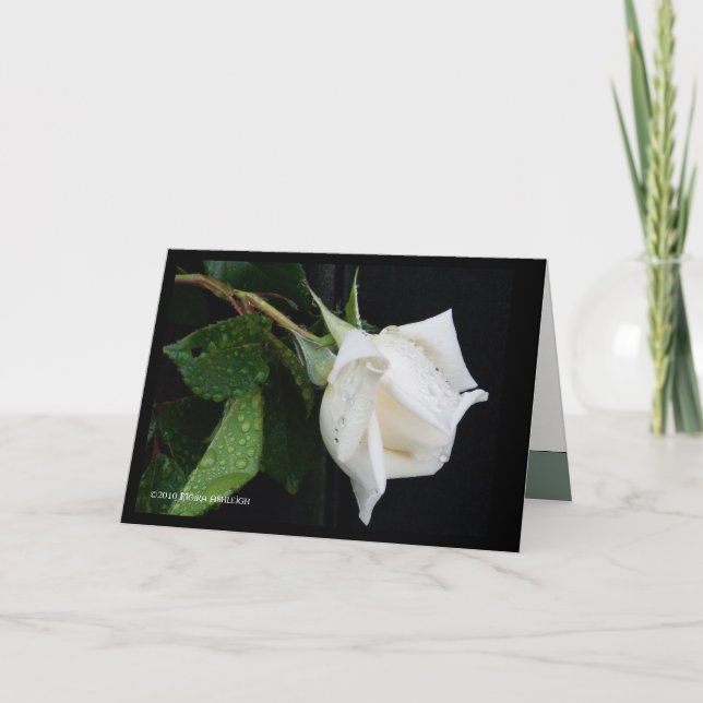 A Bow to Morning Card (Front)