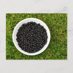 A Bowl of Freshly-picked Blackcurrants Postcard