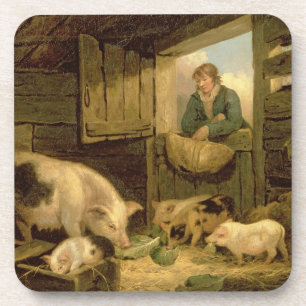 A Boy Looking into a Pig Sty, 1794 (oil on canvas) Coaster