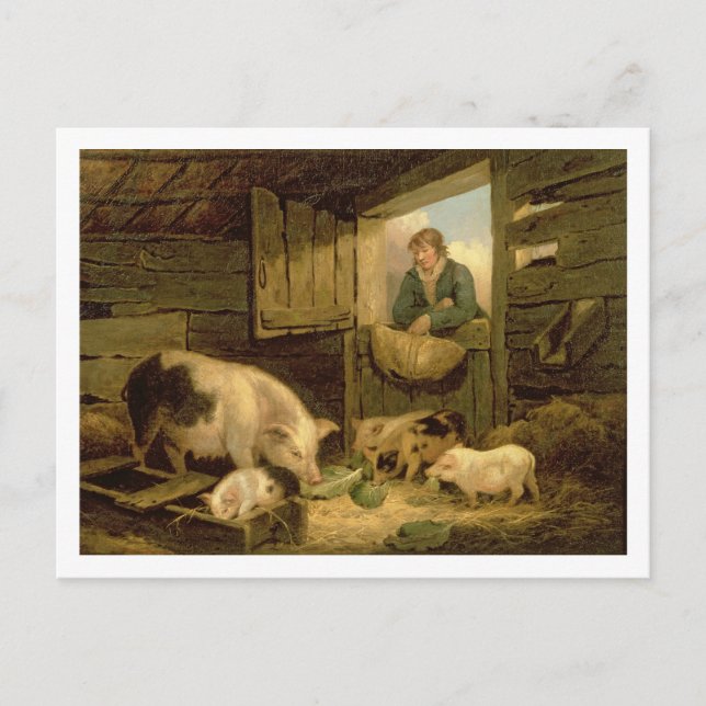 A Boy Looking into a Pig Sty, 1794 (oil on canvas) Postcard (Front)