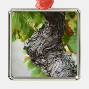 A branch of a very old vine with gnarled metal ornament