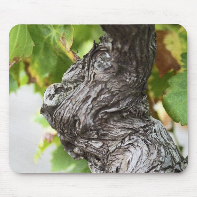 A branch of a very old vine with gnarled mouse pad (Front)
